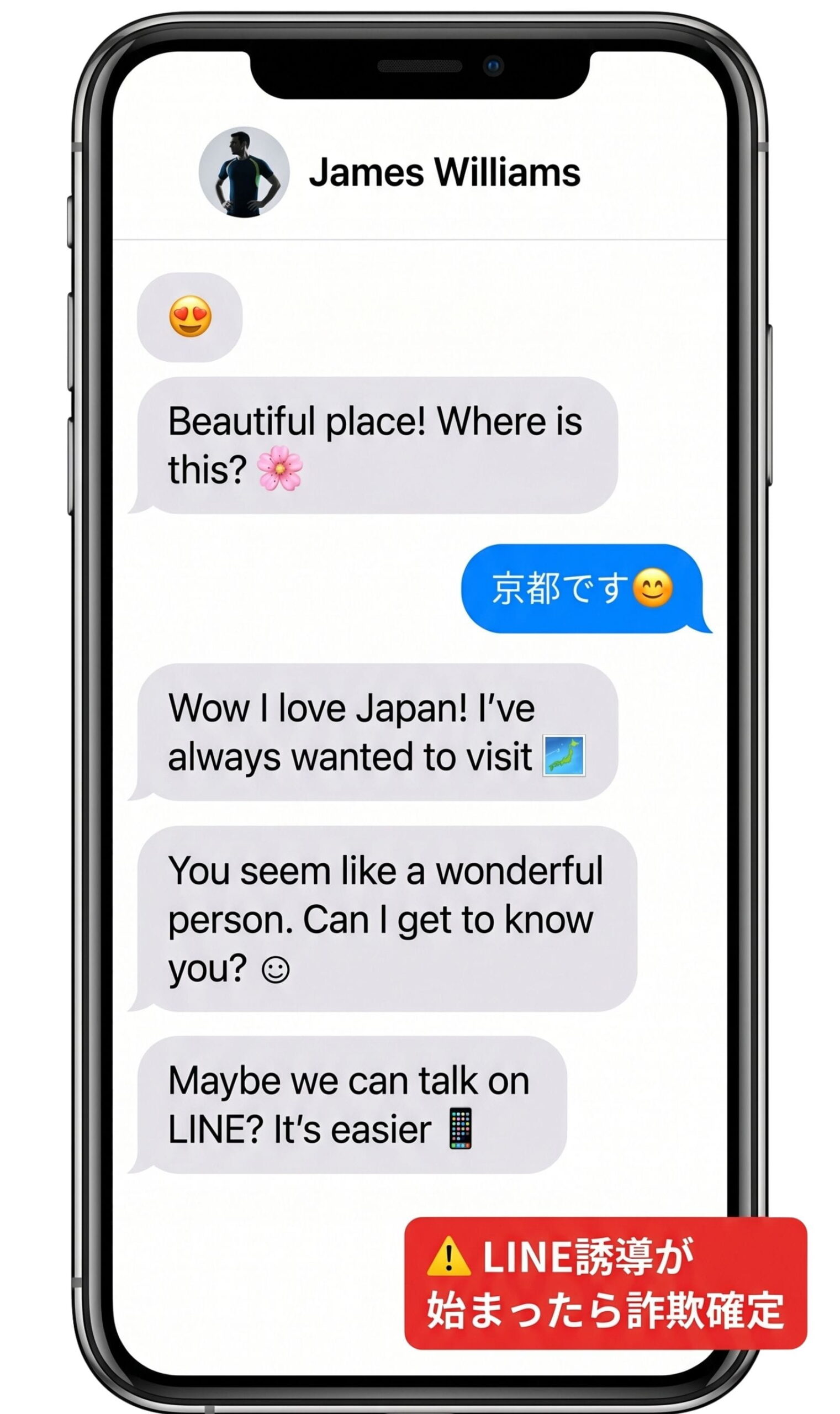 ロマンス詐欺 ストーリー反応型の実例スクリーンショット