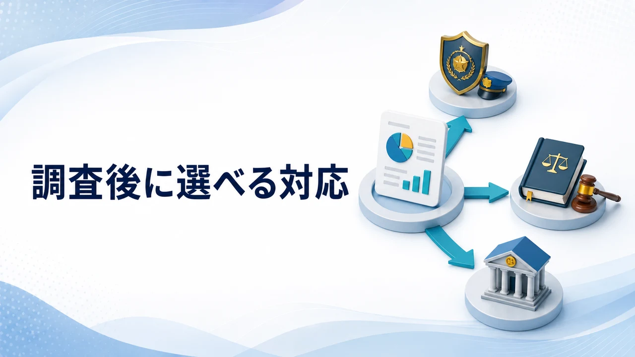 調査後に選べる対応を示す図